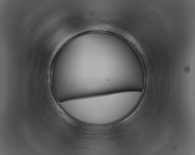X0000091661232200708230942