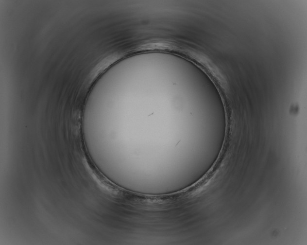 X0000091661233200708230942