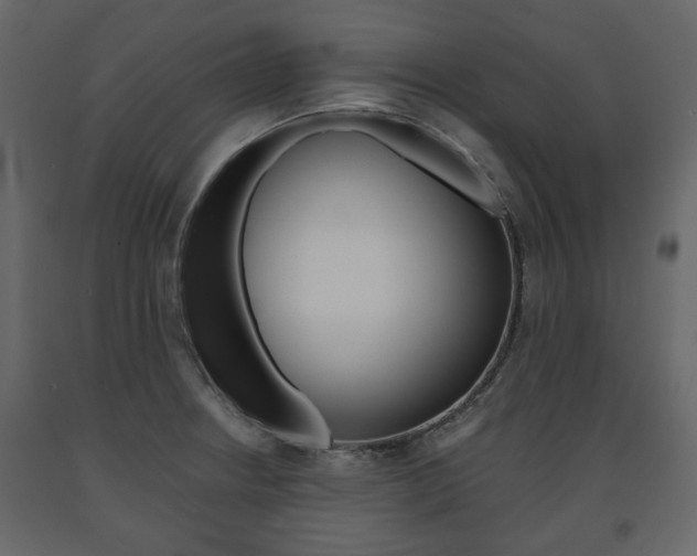 X0000091661234200708230942