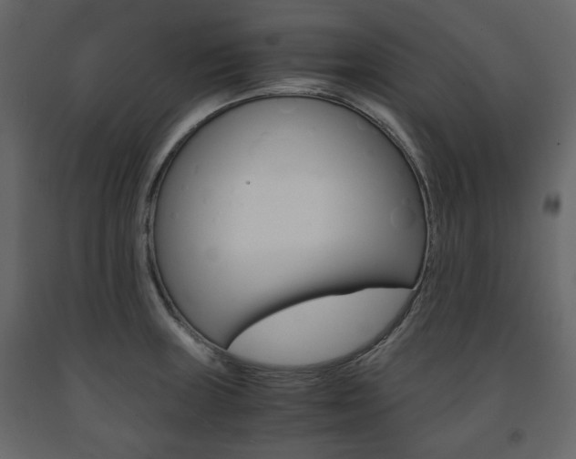 X0000091661235200708230943