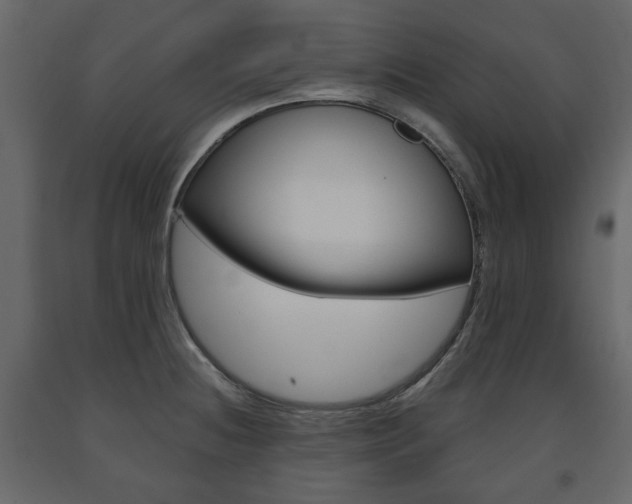 X0000091661236200708230943