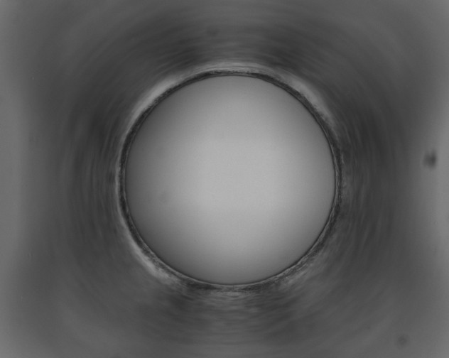 X0000091661237200708230943