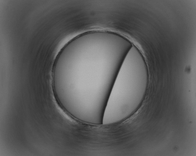 X0000091661239200708230943