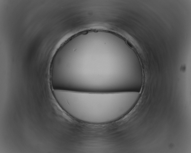 X0000091661240200708230943