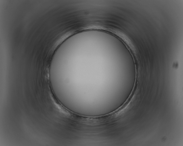 X0000091661241200708230943