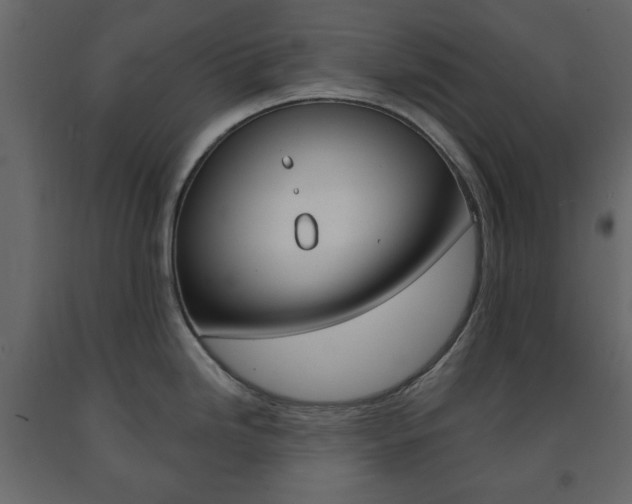 X0000091661246200708230943