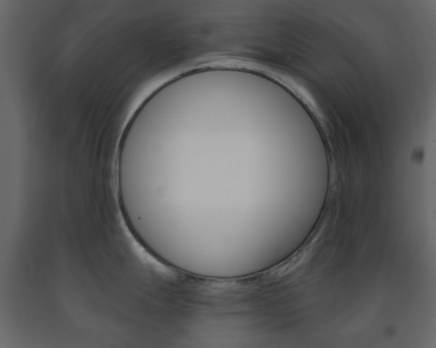 X0000091661247200708230943