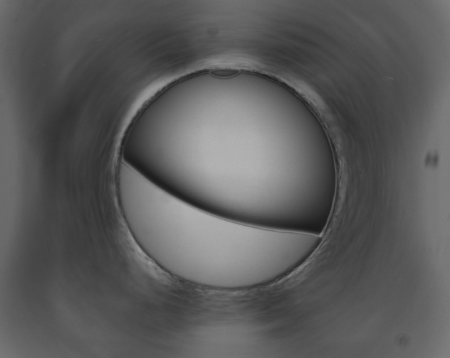 X0000091661248200708230943
