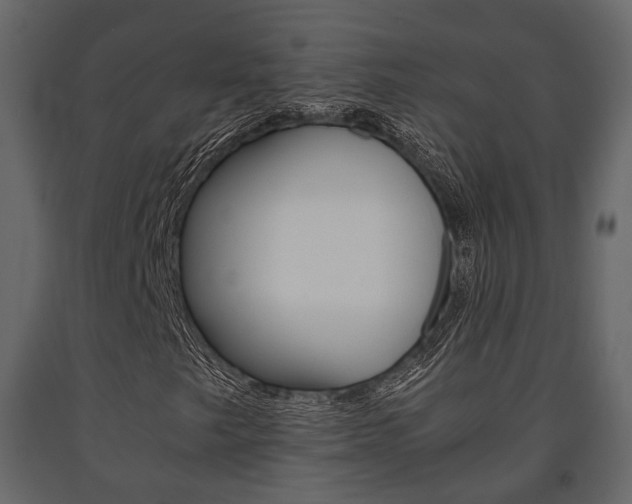 X0000091661249200708230942