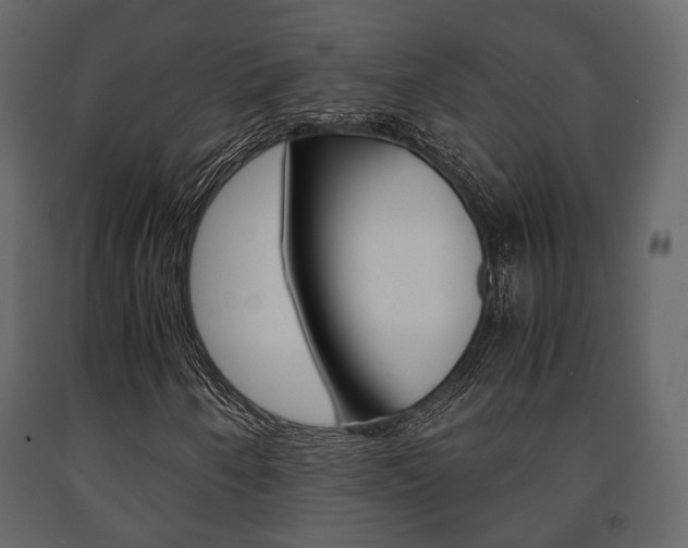 X0000091661250200708230942