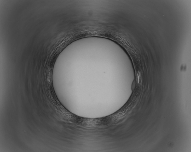 X0000091661251200708230942