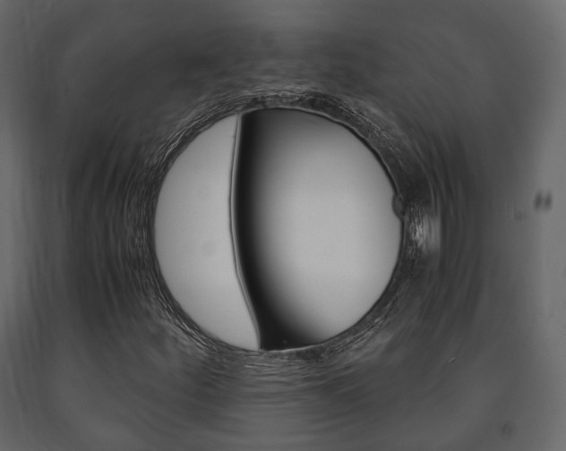 X0000091661252200708230942