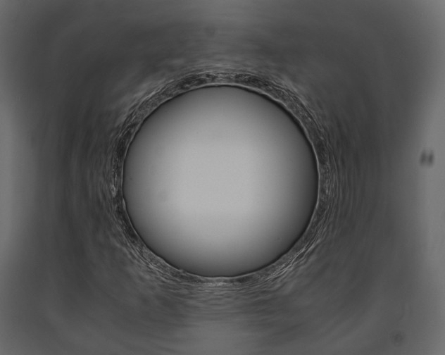 X0000091661253200708230942