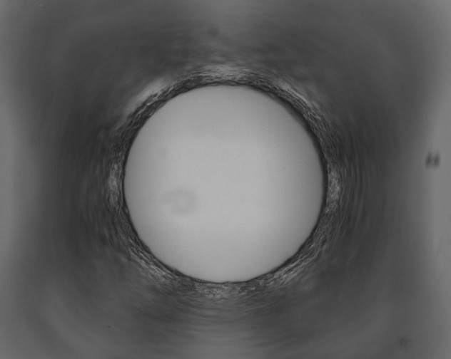 X0000091661254200708230942