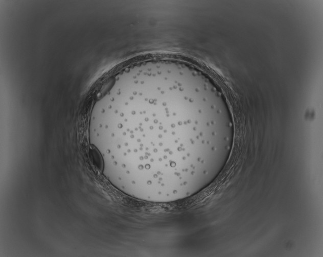 X0000091661255200708230942