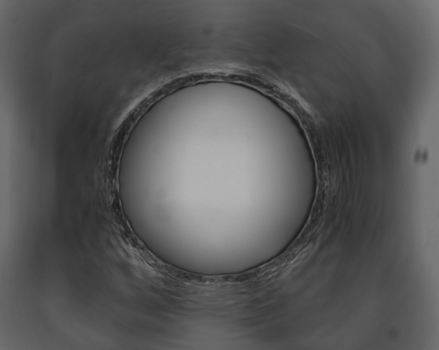 X0000091661256200708230942