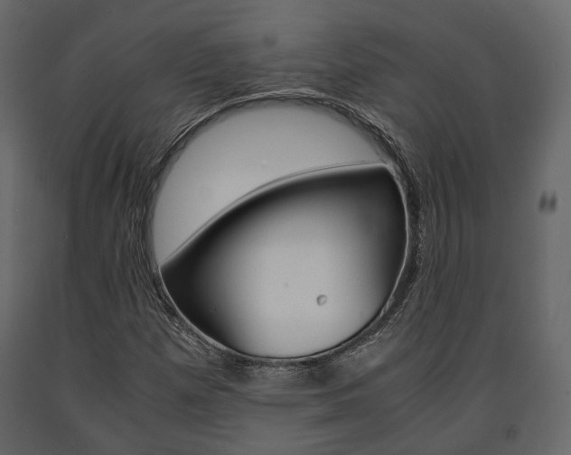 X0000091661257200708230942