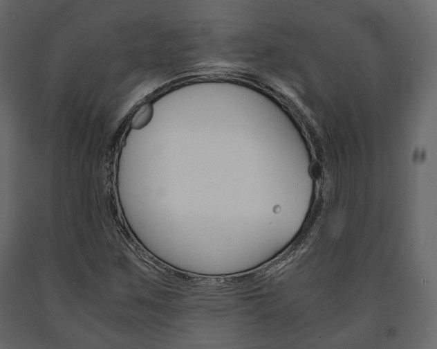 X0000091661259200708230942