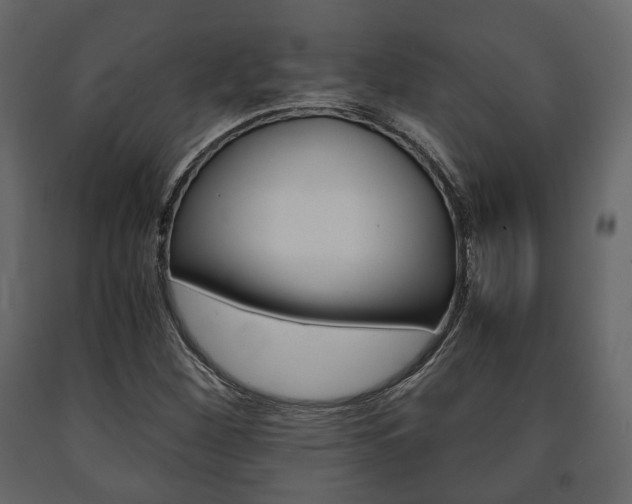 X0000091661260200708230942