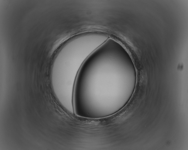 X0000091661261200708230942