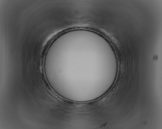X0000091661262200708230942
