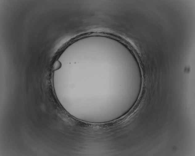 X0000091661263200708230942