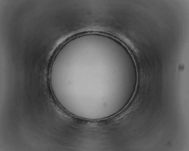 X0000091661264200708230942