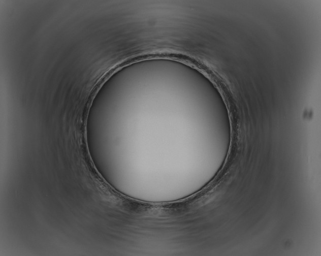 X0000091661265200708230942