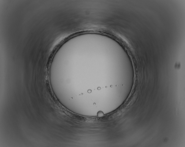 X0000091661267200708230942