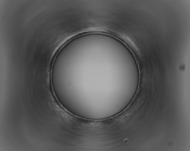 X0000091661268200708230942