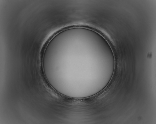 X0000091661270200708230942