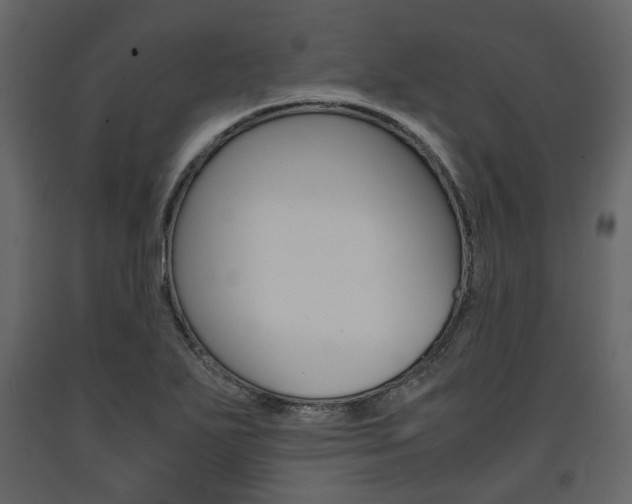 X0000091661271200708230942