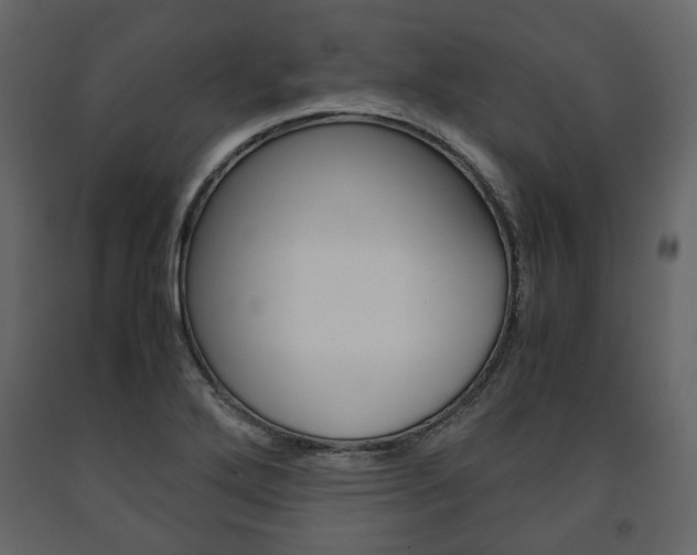 X0000091661272200708230942