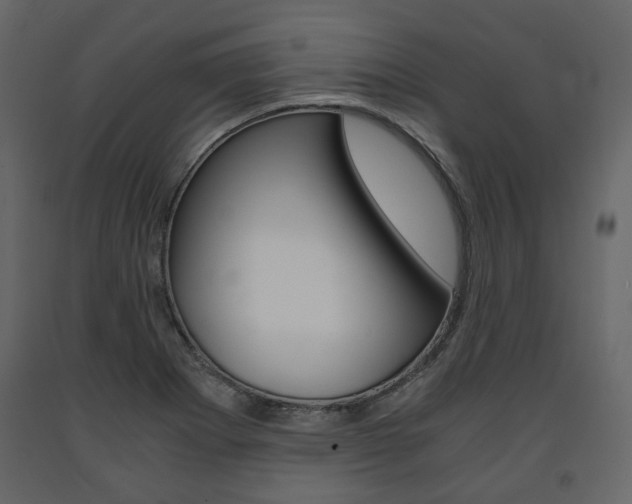 X0000091661273200708230942