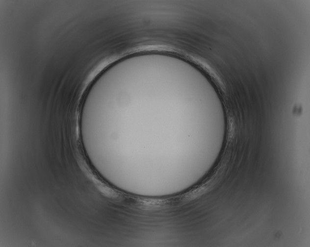 X0000091661274200708230942
