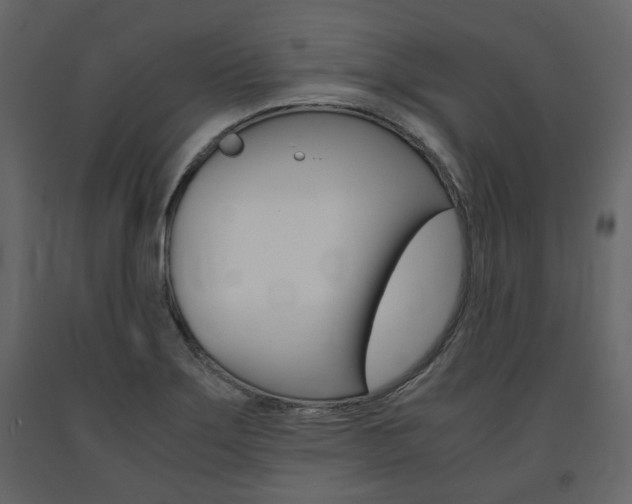 X0000091661275200708230942