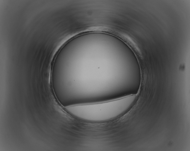 X0000091661276200708230942