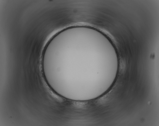 X0000091661278200708230942