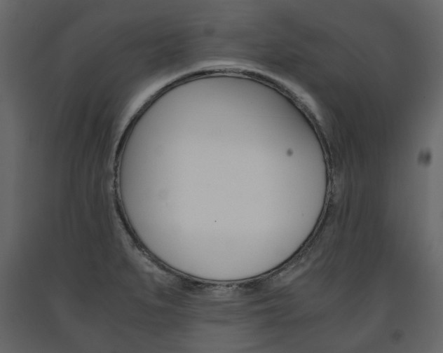 X0000091661279200708230942