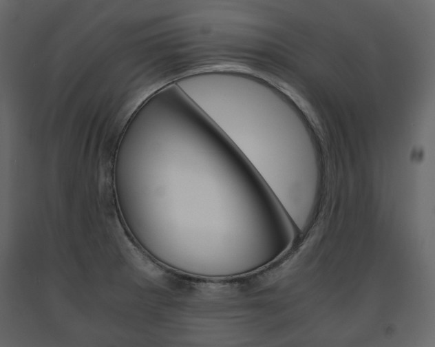X0000091661281200708230942