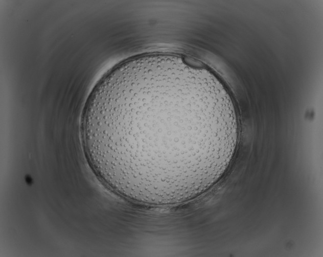 X0000091661283200708230942