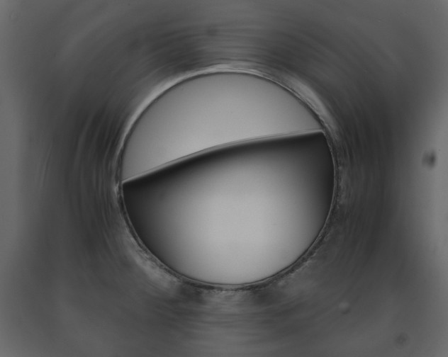 X0000091661284200708230942