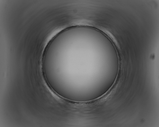 X0000091661285200708230942
