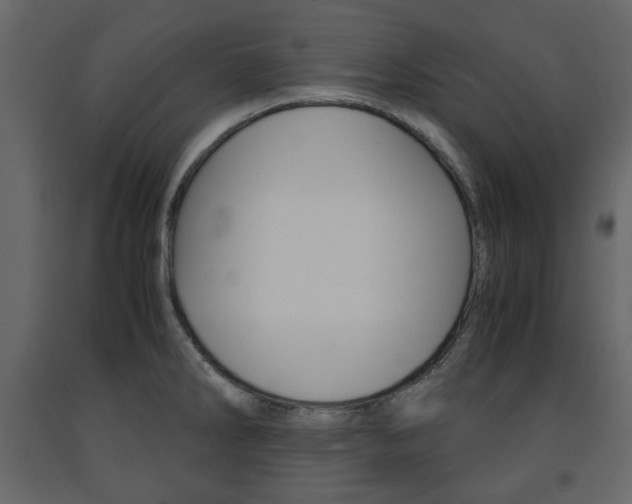 X0000091661286200708230942