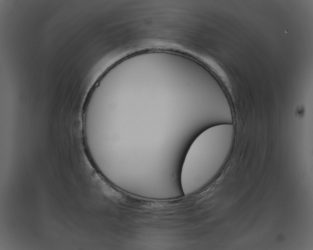 X0000091661287200708230941