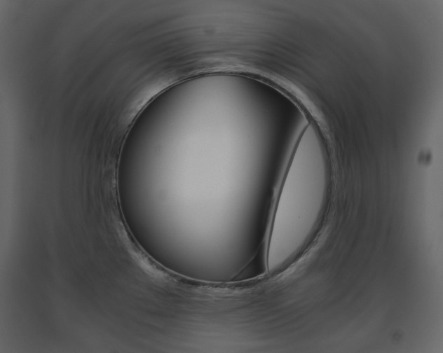 X0000091661289200708230941