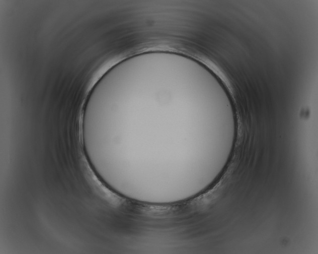 X0000091661290200708230941