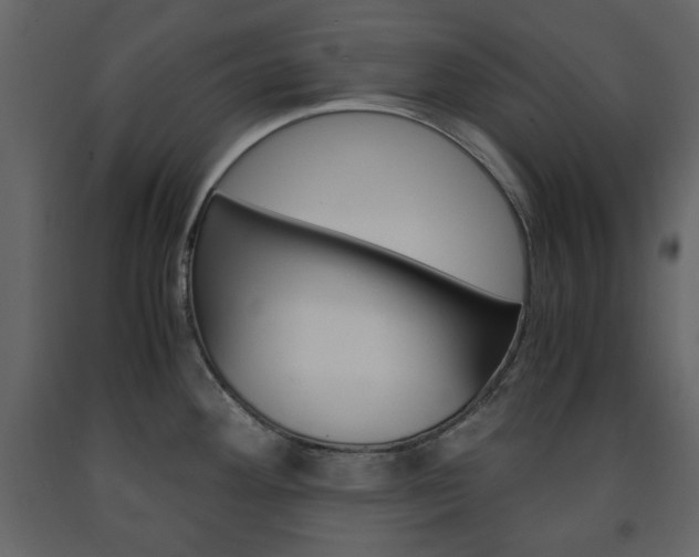 X0000091661292200708230941