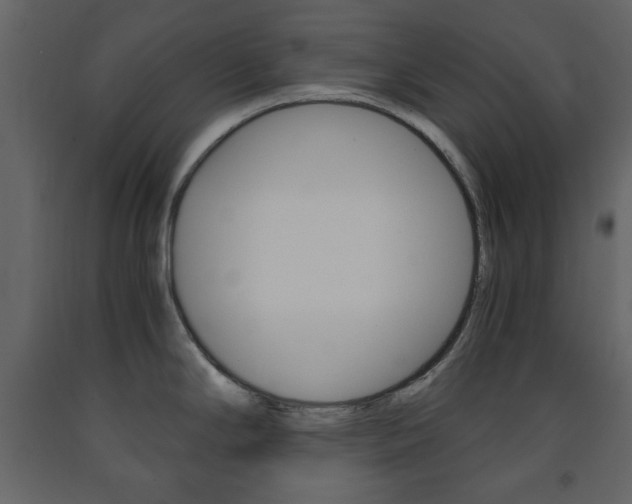 X0000091661294200708230941