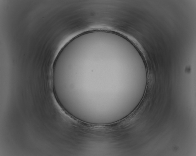 X0000091661295200708230941